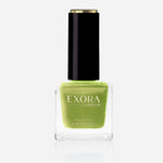 ēxora 8ml Super Shine Matte, Metallic and Simple Nail Polish 78 Shades 60 SECOND