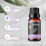 Pure Therapeutic Grade Essential Oils for Diffuser, Humidifier, Massage, Aromatherapy (10ML Per Bottle)