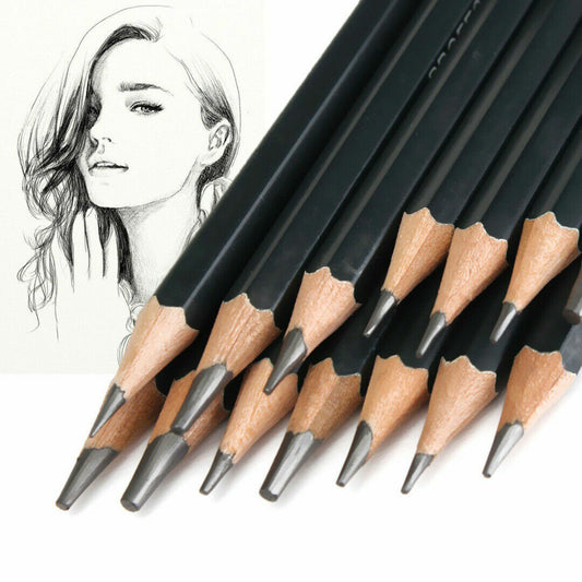 Set Of 12 GRADED ART SKETCHING PENCILS IN CASE HB DRAWING/SHADES/LIGHT/DARK UK